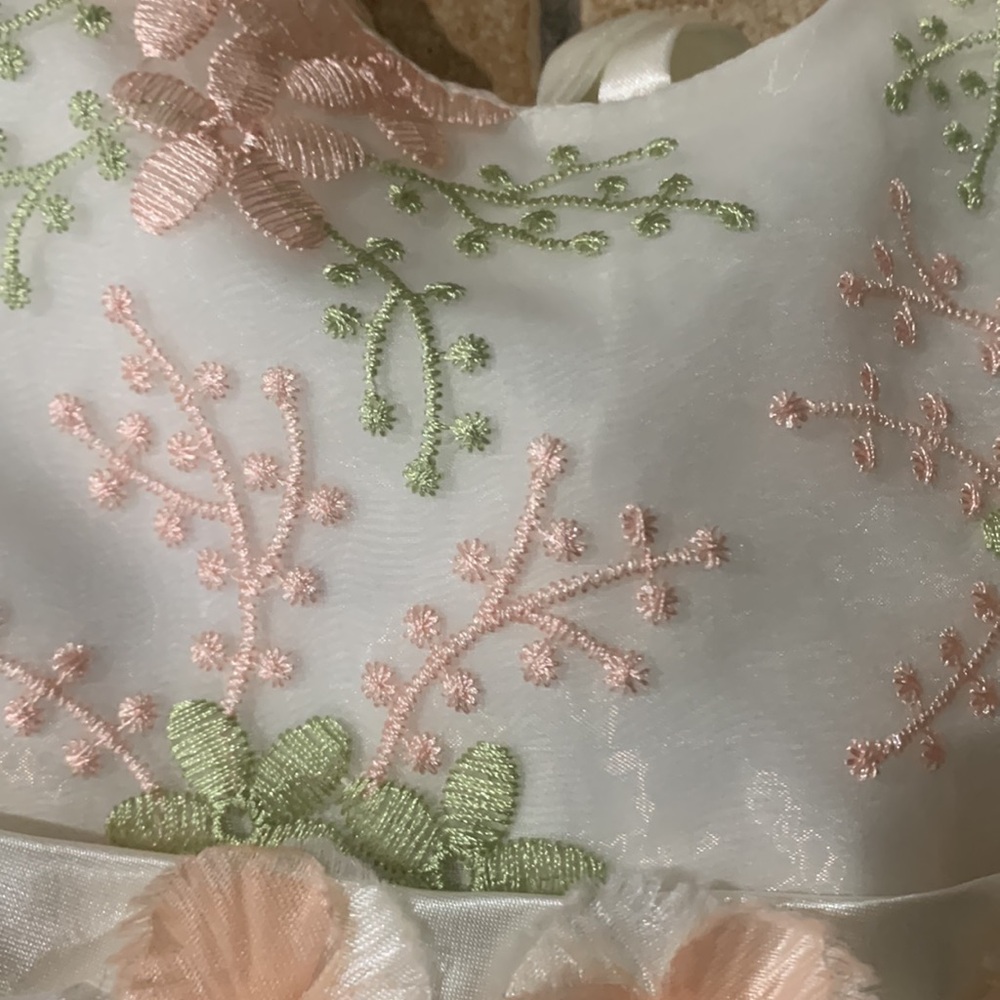 Cute Embroidered Dress - Picture 5 of 8